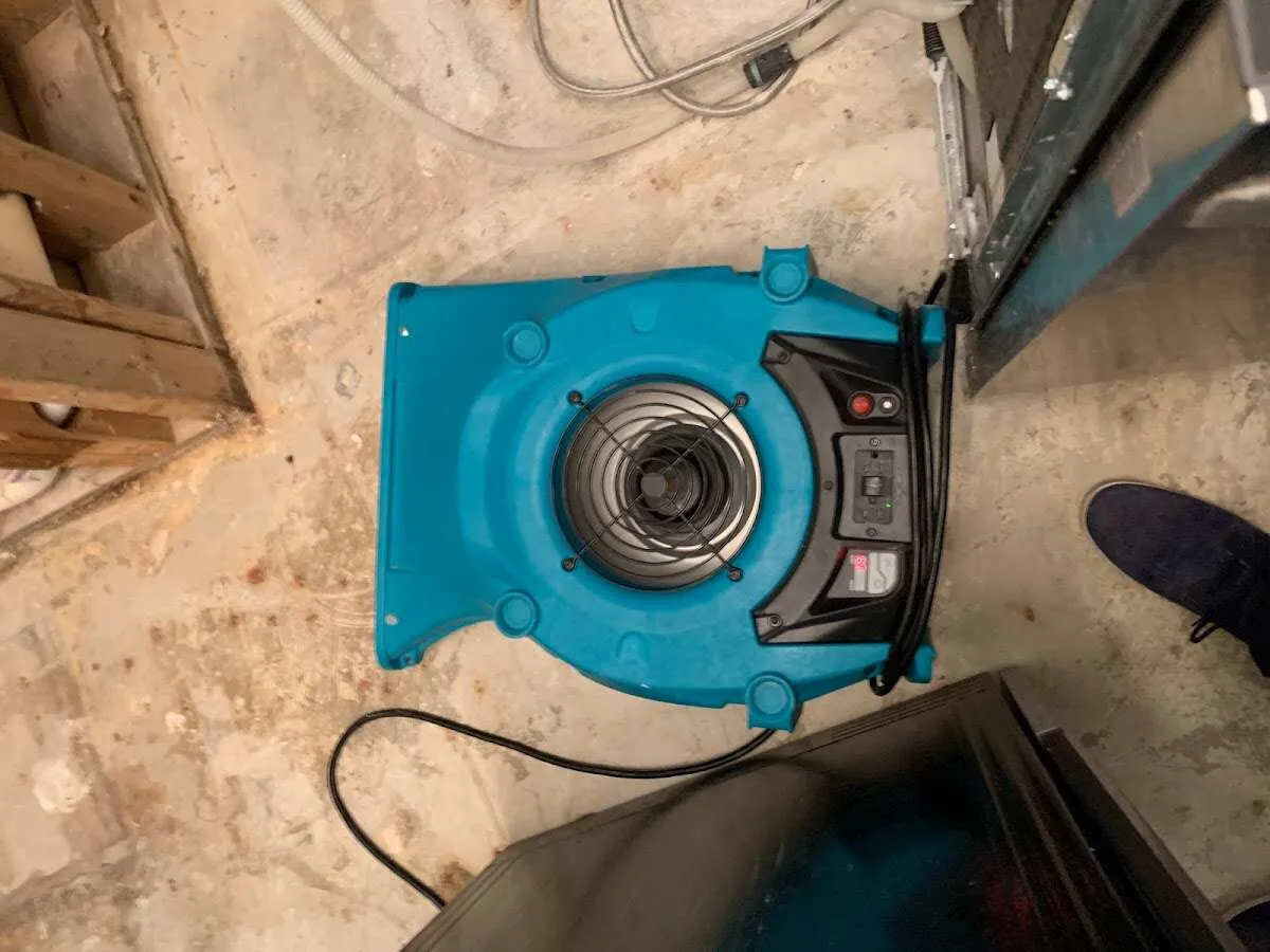 Air mover drying equipment for Mold Remediation & Removal in Portales